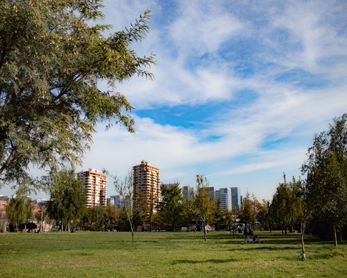 A person taking a calm walk through a city park in Santiago, enjoying the shade of the trees during an afternoon break.